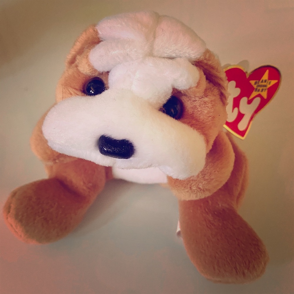 “Wrinkles” Beanie Baby